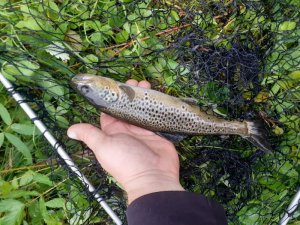 20200818_140637.jpg