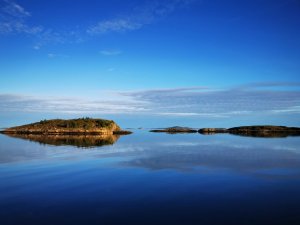 IMG_20200807_062722.jpg IMG_20200807_062722.jpg