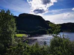 IMG_20200805_115032.jpg IMG_20200805_115032.jpg