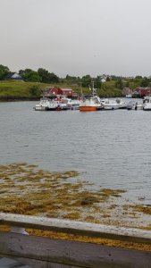 20200823_070417.jpg
