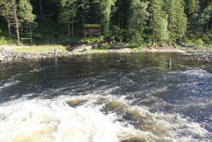 IMG_8057.JPG IMG_8057.JPG