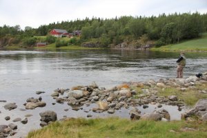 IMG_8189.JPG IMG_8189.JPG