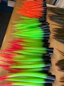 Jig Eels.jpg Jig Eels.jpg