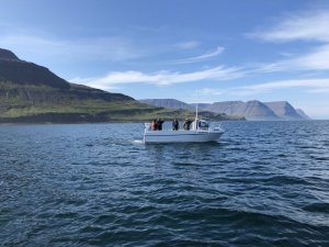 1598289755827.jpeg 1598289755827.jpeg