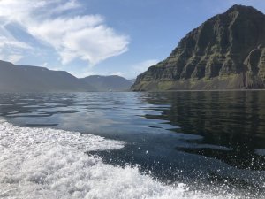 1598289825761.jpeg 1598289825761.jpeg