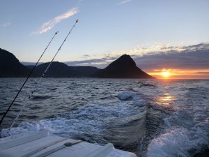 1598289874913.jpeg 1598289874913.jpeg