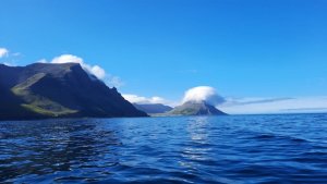 1598289962536.jpeg 1598289962536.jpeg