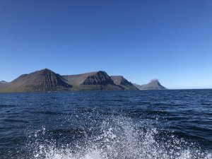 1598289996218.jpeg 1598289996218.jpeg