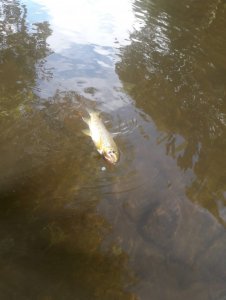 IMG-20200829-WA0000.jpg IMG-20200829-WA0000.jpg