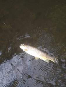 IMG-20200829-WA0001.jpg IMG-20200829-WA0001.jpg