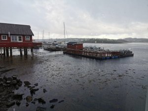 IMG_20200830_091442.jpg