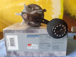 20200830_153539.jpg 20200830_153539.jpg