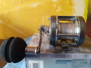 20200830_153548.jpg 20200830_153548.jpg