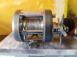 20200830_153603.jpg 20200830_153603.jpg