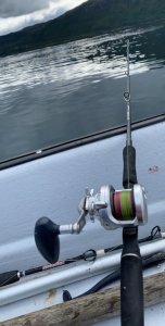 1962B4E0-EC3C-4F7F-8E2D-0E7BF1F79FE5.jpeg 1962B4E0-EC3C-4F7F-8E2D-0E7BF1F79FE5.jpeg