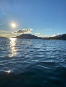 B6172CCA-7E30-4D03-A837-5D1137428EAC.jpeg B6172CCA-7E30-4D03-A837-5D1137428EAC.jpeg