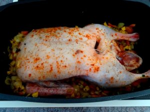 diverses 130920 004.JPG