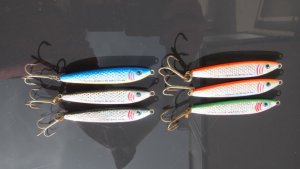 IMG_6570.JPG IMG_6570.JPG