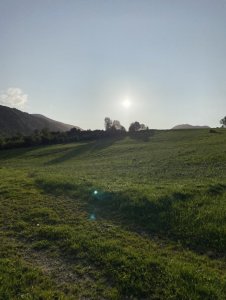 56705E19-151E-4B4E-8043-7570B8F7DC22.jpeg