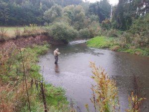 IMG-20200926-WA0014.jpg IMG-20200926-WA0014.jpg