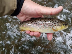 20200927_124610.jpg 20200927_124610.jpg