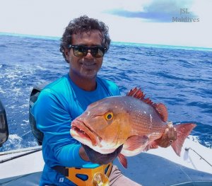 IMG-20200912-WA0003.jpg IMG-20200912-WA0003.jpg