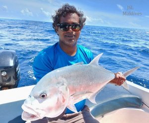 IMG-20200912-WA0005.jpg IMG-20200912-WA0005.jpg