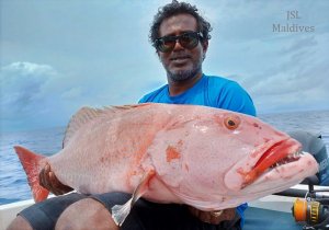 IMG-20200916-WA0019.jpg IMG-20200916-WA0019.jpg