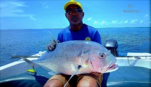 IMG-20200930-WA0004.jpg IMG-20200930-WA0004.jpg