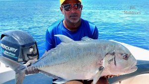 IMG-20200930-WA0006.jpg IMG-20200930-WA0006.jpg