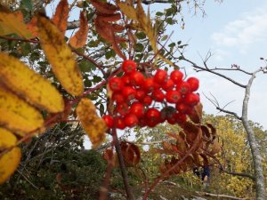 20201002_144737.jpg