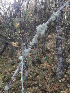 20201002_144955.jpg