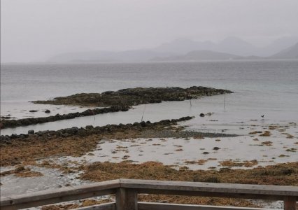 IMG-20201009-WA0000.jpg IMG-20201009-WA0000.jpg