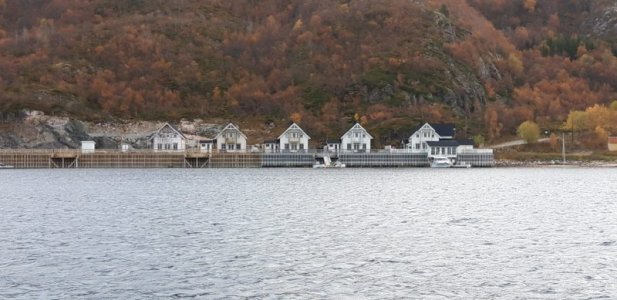 IMG-20201005-WA0013.jpg