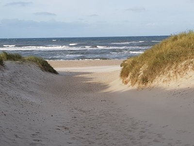 20201018_101815.jpg 20201018_101815.jpg