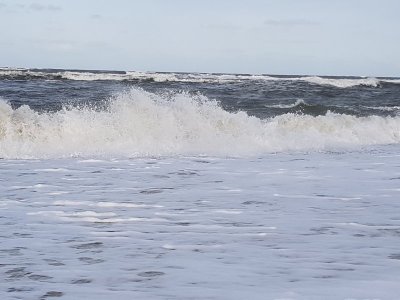 20201018_102145.jpg 20201018_102145.jpg