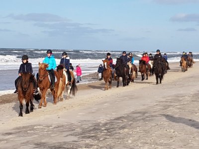 20201018_110415.jpg 20201018_110415.jpg