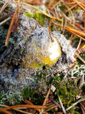 20201018_114547.jpg 20201018_114547.jpg