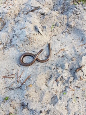 20201018_122208.jpg 20201018_122208.jpg