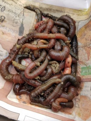 20201018_152409.jpg 20201018_152409.jpg