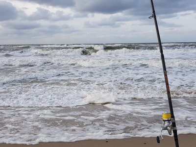 20201018_154845.jpg 20201018_154845.jpg