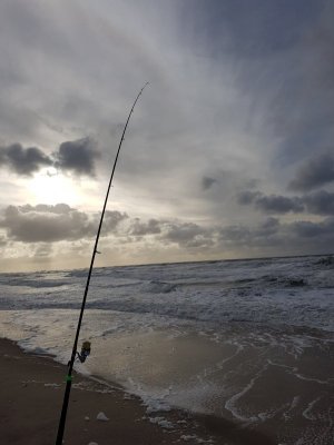 20201018_154937.jpg 20201018_154937.jpg