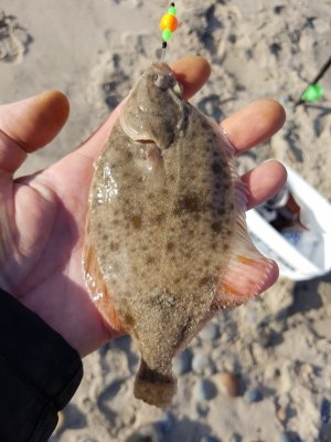 20201019_153229.jpg 20201019_153229.jpg