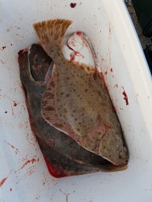 20201019_172014.jpg 20201019_172014.jpg