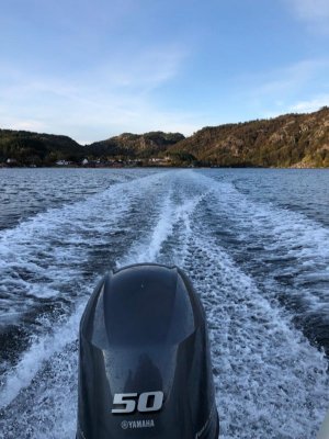 IMG-20201020-WA0008.jpg IMG-20201020-WA0008.jpg