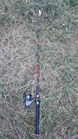 IMG-20201020-WA0010.jpeg IMG-20201020-WA0010.jpeg