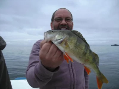 boddennorswi 009.webp