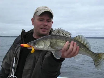 boddennorswi 018.webp