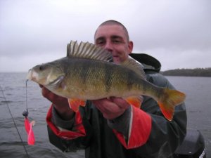 boddennorswi 030.jpg