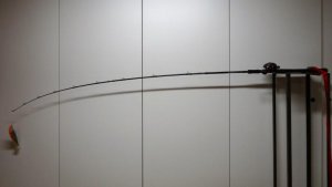 Cutbait 270g an Ruof Expedition 73.jpg